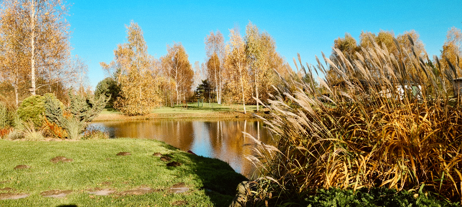 Māja Vāverēni - teritorija un dīķis